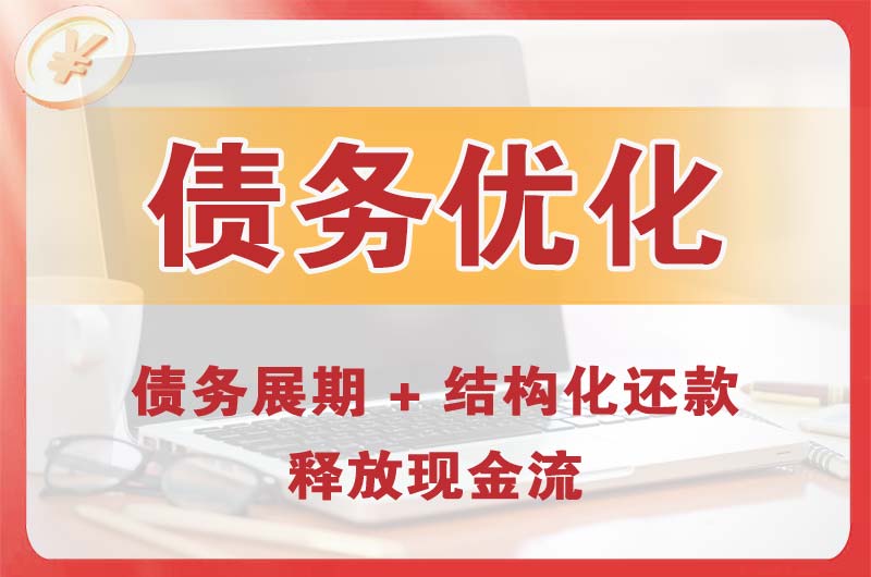 甘孜债务优化